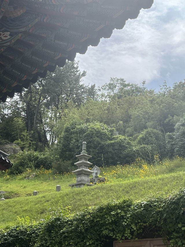 부산 민락동 숨은 한옥 뷰 포인트, 옥련선원 산책 후기