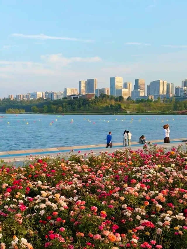 Chengdu เฉิงตูเมืองแพนด้า