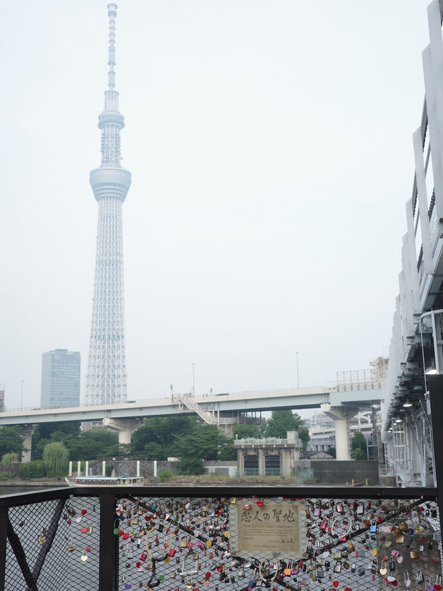 【東京 隅田川】隅田川を渡れるすみだリバーウォーク