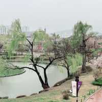 Stone Walls and Serene Whispers: A Rainy Day at Hwaseong Fortress