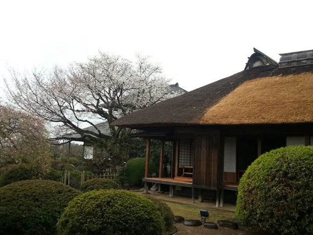茨城県必遊 日本三大名園 夏日的偕樂園