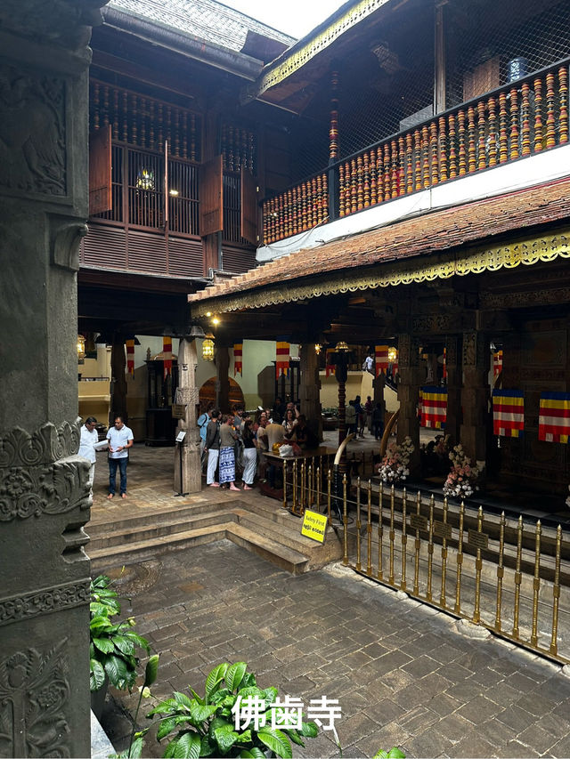 🇱🇰 スリランカ旅行記　VOL.1