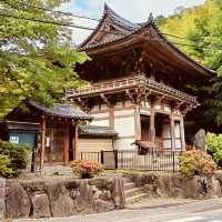Kyuanji Temple: Ikeda’s Hidden Zen Oasis – A Solo Traveler’s Retreat from Osaka’s Chaos"** 🍃🏯  