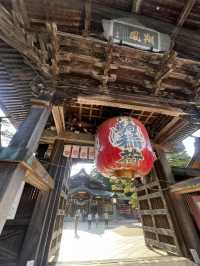 岩沼市に鎮座する 竹駒神社へ行くべき理由を5つご紹介します✨