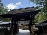 Shimogamo Shrine, Kyoto: An Understated Gem Worth an Early Morning Visit! ⛩️🌿