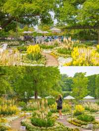 Ashikaga Flower Park สวนดอกไม้ใกล้โตเกียว🌹