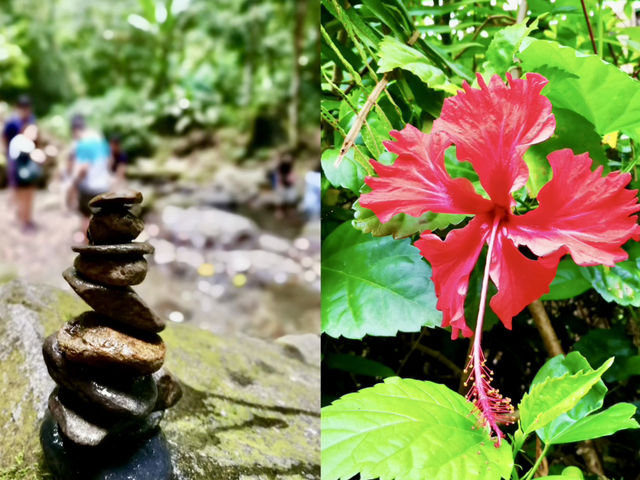 💦 Canopy Calm, Waterfall Chill: The Cool Side of Poring Hot Springs