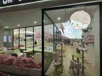 🐾 Kids X Cats Cafe — Fluffy Friends & Playful Vibes