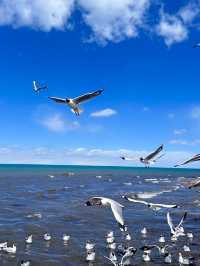 Qinghai Lake Wonders: Nature, Culture, and Serenity