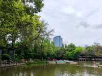 People's Park – Chengdu’s Living Room