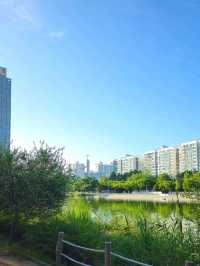 송도 이쁘고 여유로운 해돋이공원