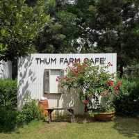 Thum Farm Cafe' - ธรรมฟาร์ม • Chonburi  🌳🏠🪵⛲️🌻