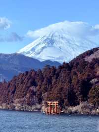 📖 Hakone Honbako – A Book Lover’s Onsen Retreat in the Mountains