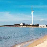 🌊🚲 *Ansan Daebudo Island: Seoul’s Secret Seaside Escape* 🌾🌉