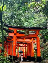 🇯🇵 Japan 11D10N Budget Trip | Under RM4,100!
