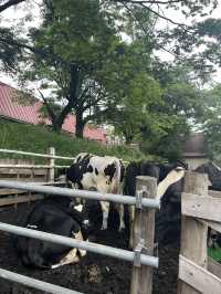 【神奈川県】入場無料の広々牧場🐮