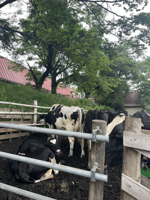 【神奈川県】入場無料の広々牧場🐮