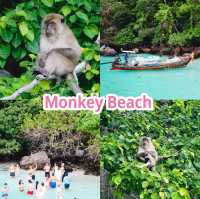 Monkey Beach  จ.กะบี่