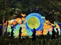 🤩 Qingdao's Zhongshan Park: A Magical Summer Night Lantern Fair! ✨