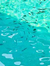 Perhentian Island: Malaysia’s Hidden Slice of Paradise 