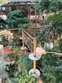 Treetop Adventure @ Rainforest PJ: Fun Among the Trees