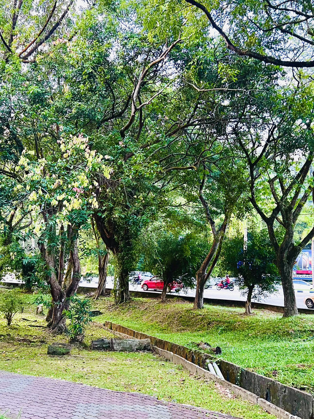 Nature Meets the City at Taman Rekreasi Hiliran