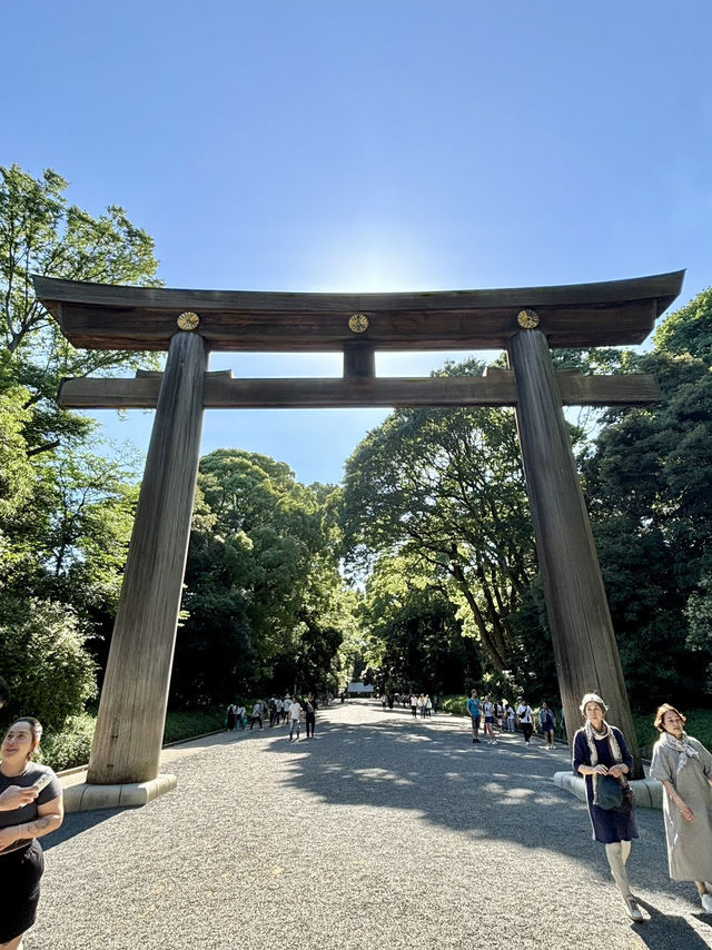 【東京】明治神宮