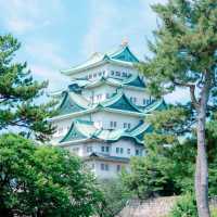 【日本の大都市】名古屋🏙️🏯