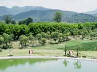 🌸🇯🇵 Hinoki Land เชียงใหม่ 🌸🇯🇵