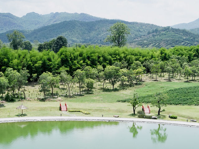 🌸🇯🇵 Hinoki Land เชียงใหม่ 🌸🇯🇵
