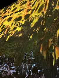 Enchanting World of Digital Art— TeamLab Borderless Tokyo 