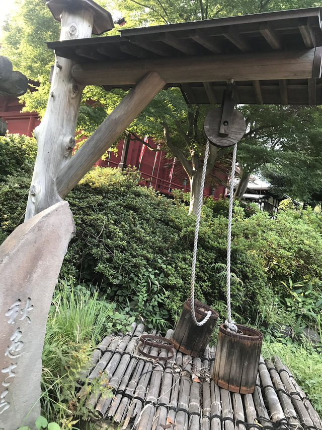 📜【歴史と文化の散歩道】台東区上野・御徒町エリアを歩く|子規・西郷・不忍池・神社 📜【歴史と文化の散歩道】台東区上野・御徒町エリアを歩く|子規・西郷・不忍池・神社