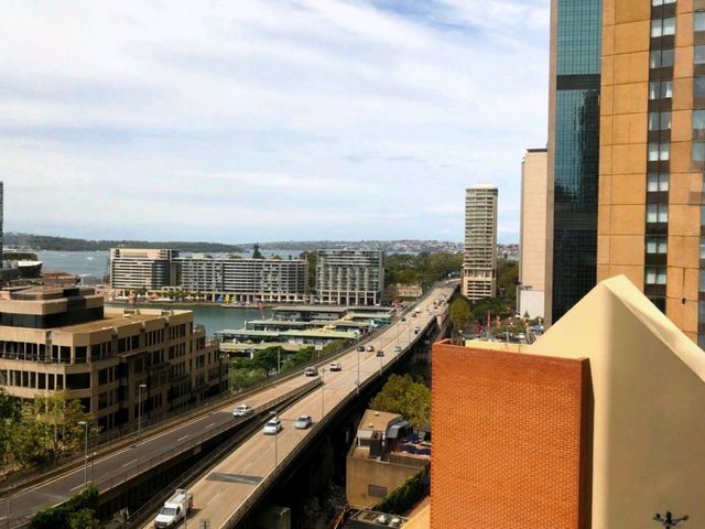 Unparalleled Views of the Harbour