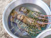 หมู่บ้านชาวประมง มุยเน่ (Mui Ne Fishing Village)