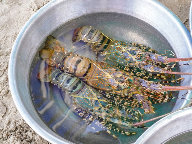 หมู่บ้านชาวประมง มุยเน่ (Mui Ne Fishing Village)