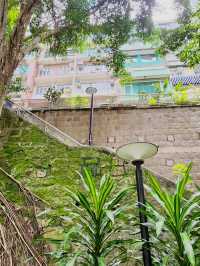 「灣仔後花園」星街小區