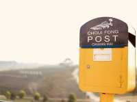 ไร่ชาฉุยฟง** คือสวรรค์ของคนรักธรรมชาติและชาเขียว 