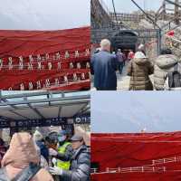 ชมการแสดง “Impression of Lijiang”