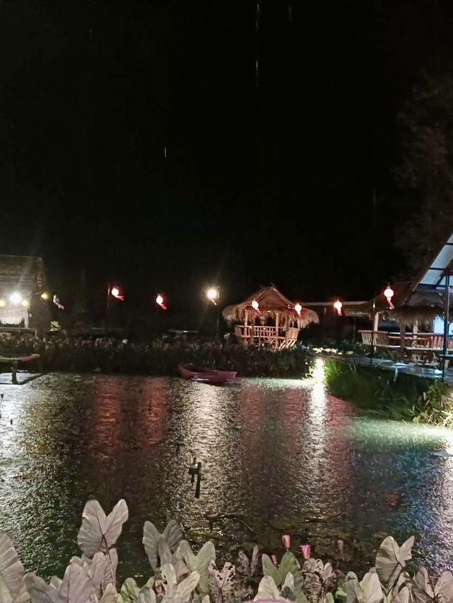 🪷 นาบัว cafe  นาบัว หนองบัวลำภู 🪷