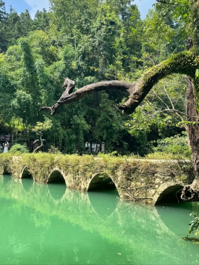 Beyond the Great Wall: China’s Best-Kept Secret for Nature Lovers