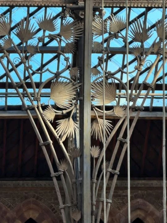 FREE entry, another amazing museum in Oxford, opened in 1860, was established to consolidate the university's scattered scientific collections and facilities into a single, purpose built space.
