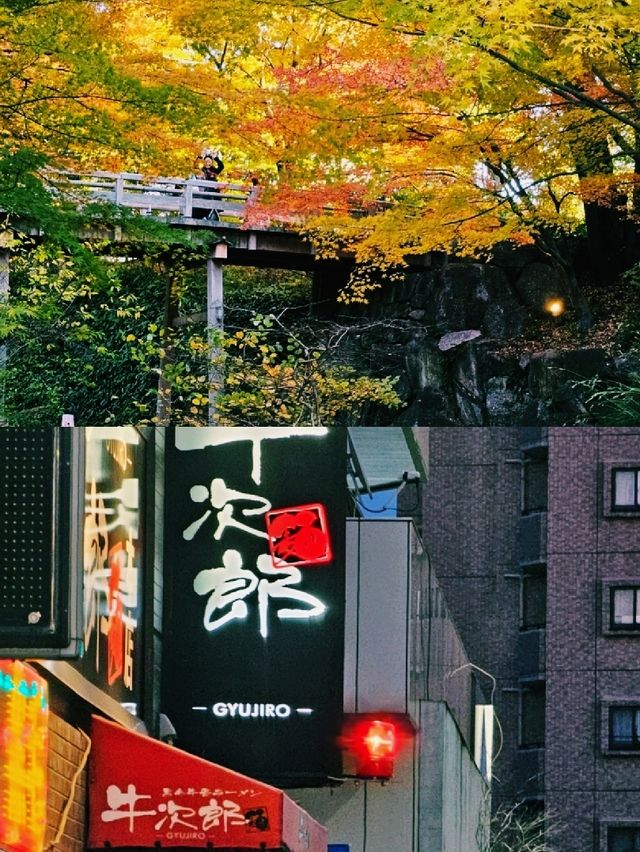 눈의 도시 삿포로에서 보낸 겨울 여행기
