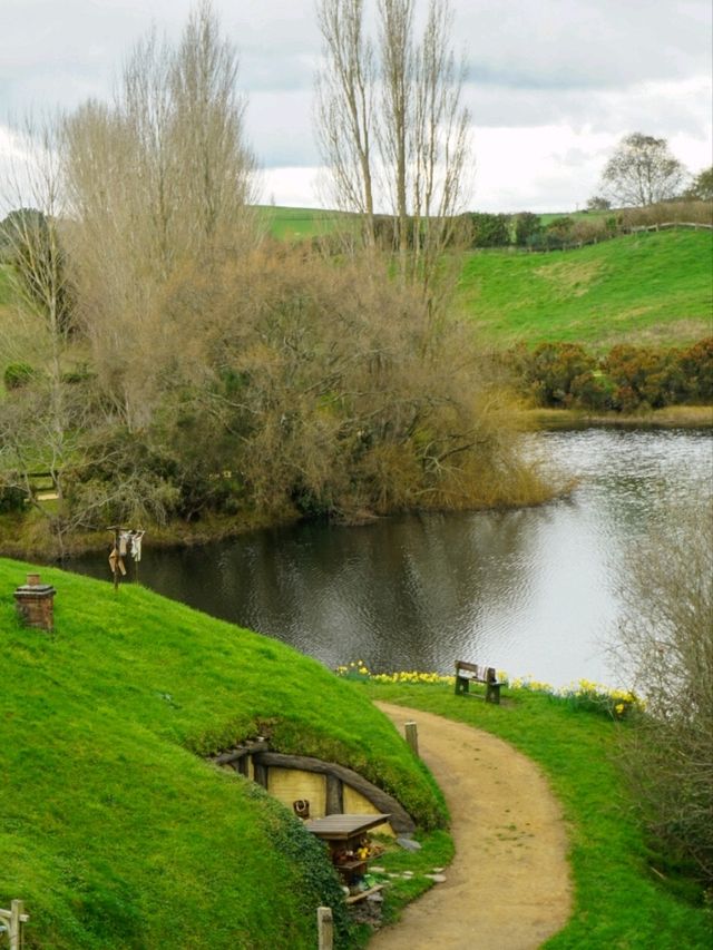 📽ตามรอยหนัง The Lord of the Rings @Hobbiton