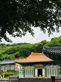 제주도 여행코스 관음사