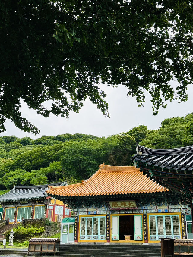 제주도 여행코스 관음사