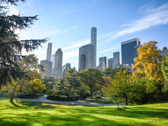 🌳 센트럴 파크: 도심 속의 초록 쉼터
