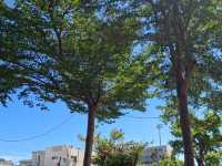 鐵道藝術村