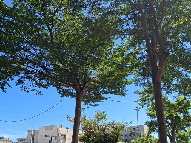 鐵道藝術村