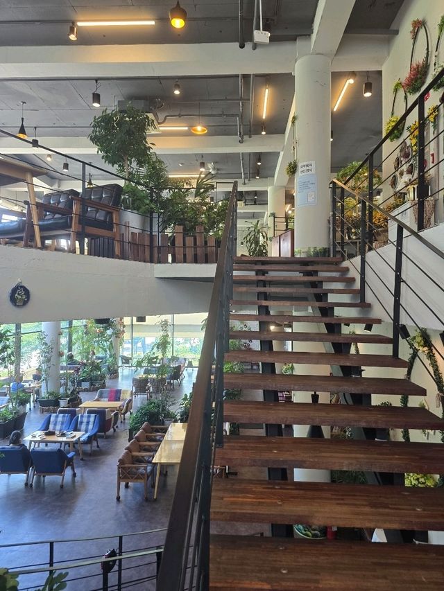 담양 아리에뜰 카페 방문 🌿☕