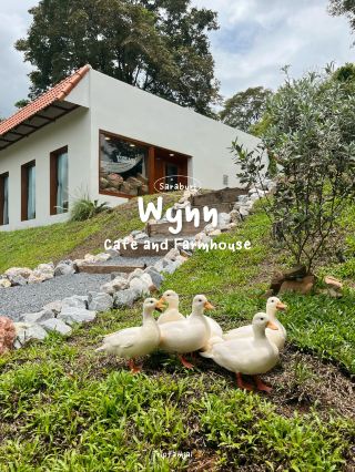 คาเฟ่สุดโฮมมี่ สระบุรี น่ารักแบบตะโกน 🌼🧺🪿